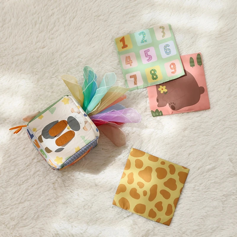Montessori Tissue Box Toy