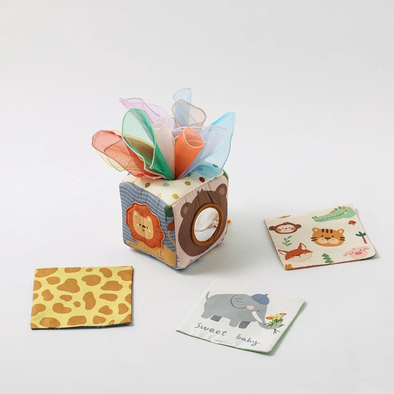 Montessori Tissue Box Toy
