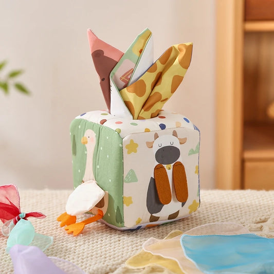 Montessori Tissue Box Toy